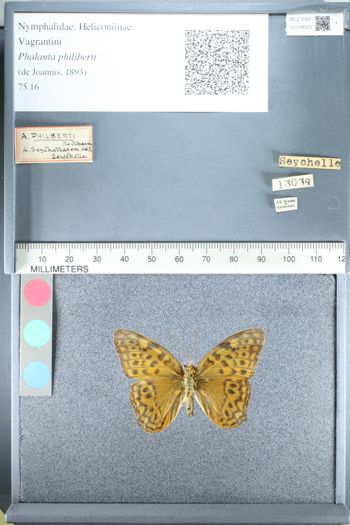 Media type: image;   Entomology 159023